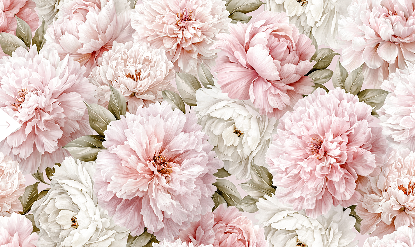 Blush Pink Peony Mural Wallpaper | Romantic Floral Wall Mural